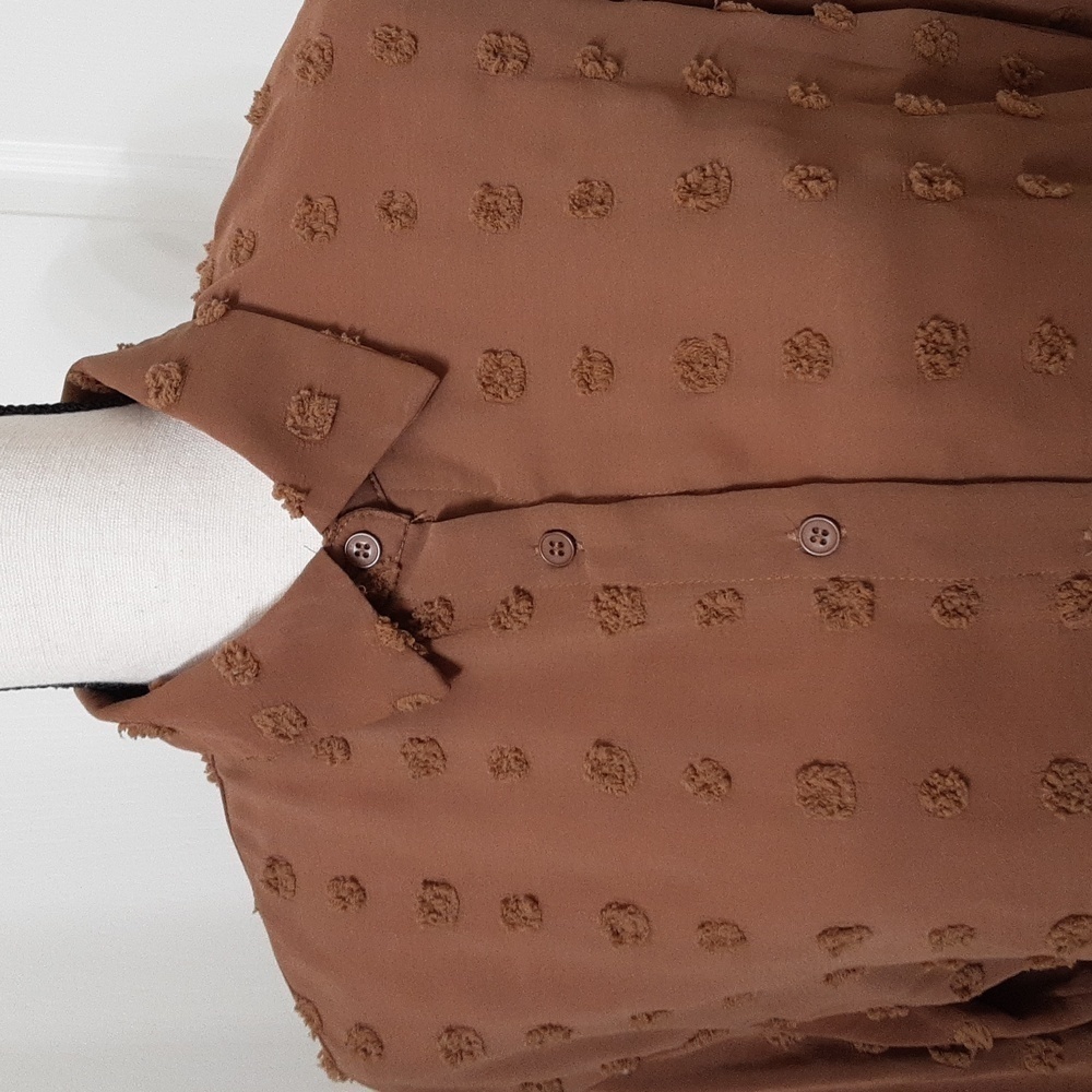 Ubranded Size M Milky Chocolate Brown Swiss Dot Long Sleeve Semi-Sheer Blouse - Picture 2 of 13
